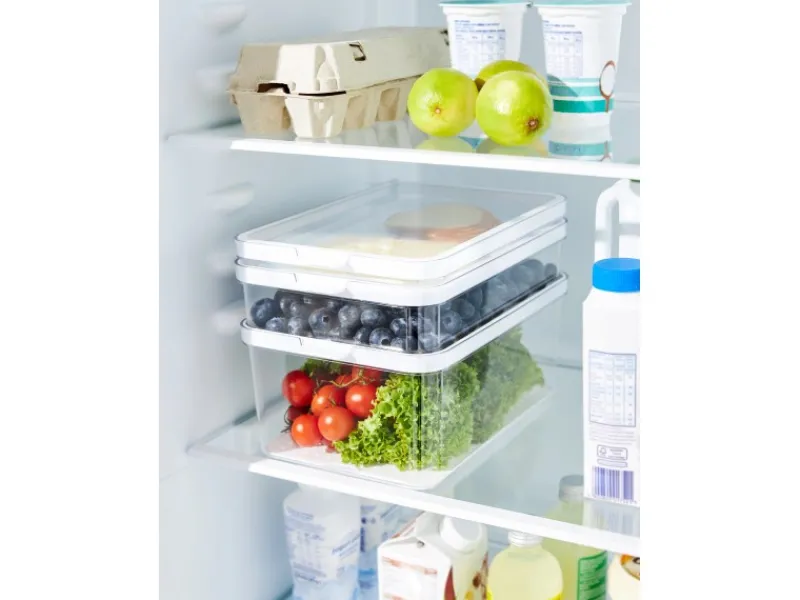 Rotho Kühlschrankorganizer Cauma 2,6 l Weiß< Küchen-Ordnungssysteme