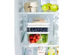 Rotho Kühlschrankorganizer Cauma 2,6 l Weiß< Küchen-Ordnungssysteme