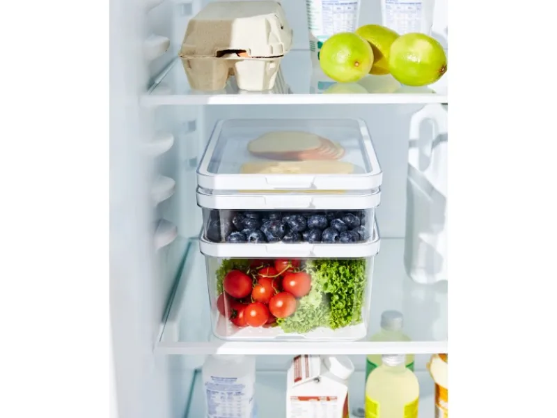 Rotho Kühlschrankorganizer Cauma 2,6 l Weiß< Küchen-Ordnungssysteme