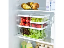 Rotho Küchen-Ordnungssysteme<Kühlschrankorganizer Cauma 1,2 l Weiß