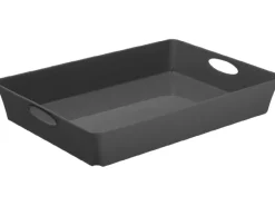 Rotho Living Box C4 Anthrazit 4,5 l< Kühlschränke