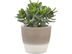 Scheurich Töpfe<Übertopf 950 Ø 19 cm Espresso Cream