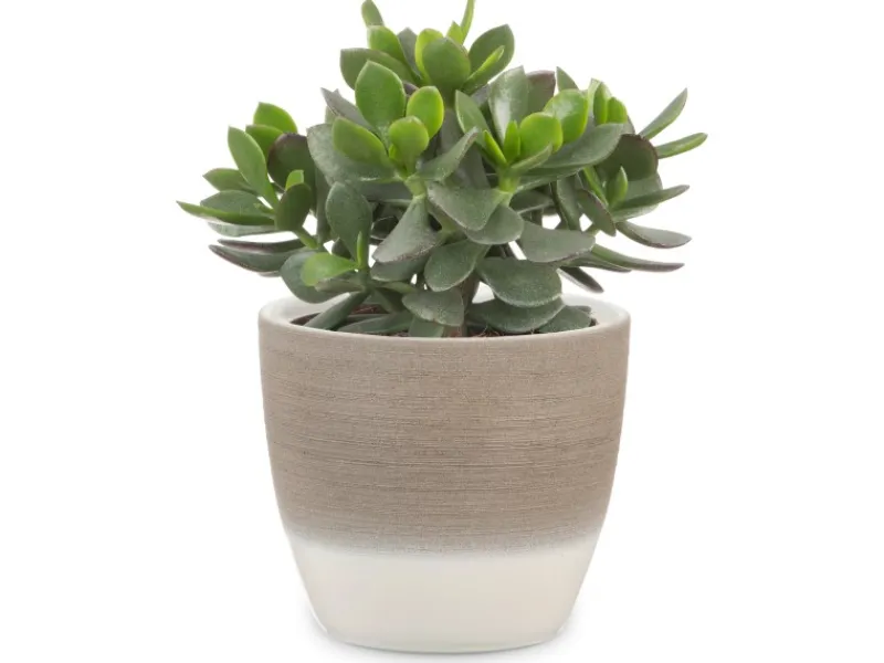 Scheurich Übertopf 950 Ø 14 cm Espresso Cream< Töpfe