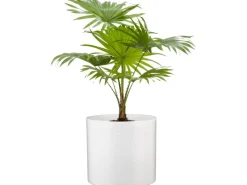 Scheurich Töpfe<Übertopf 828 Ø 16 cm Panna