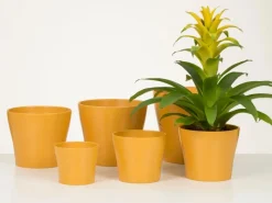 Scheurich Übertopf 808 Ø 21 cm x 19 cm Curcuma< Töpfe