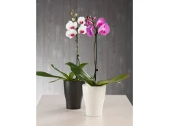Scheurich Töpfe<Orchideengefäß 608 Ø 13 cm
