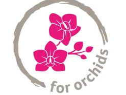 Sale Scheurich Orchideentopf 608 Ø 13 cm x 17 cm Powder Rose