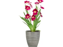 Scheurich Pflanzgefäß 667 Ø 13 cm< Töpfe