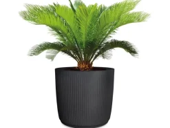 Outlet Scheurich Pflanzgefäß Linetto Ø 38,6 cm Stony Black