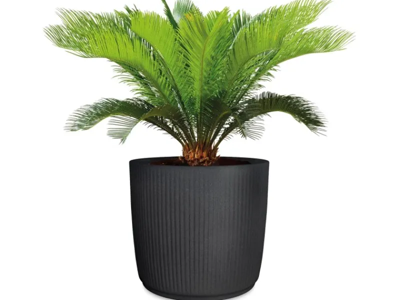 Scheurich Pflanzgefäß Linetto Ø 28,6 cm Stony Black< Töpfe