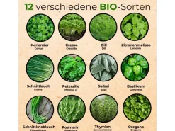 Online Seedhero BIO Kräutersamen Set Mit 12 Sorten