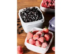 SmartStore Gefrierdose Frost 0,75 l Lavendel 4 Stück< Vorratsdosen|Vorratsbehälter