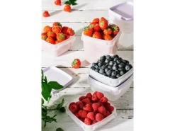 SmartStore Gefrierdose Frost 0,75 l Lavendel 4 Stück< Vorratsdosen|Vorratsbehälter