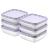 SmartStore Gefrierdose Frost 0,3 l Lavendel 6 Stück< Vorratsdosen|Vorratsbehälter