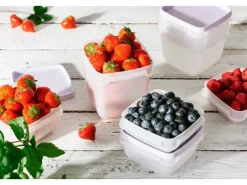 SmartStore Gefrierdose Frost 0,3 l Lavendel 6 Stück< Vorratsdosen|Vorratsbehälter