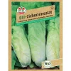 Online Sperli Bio Zichoriensalat
