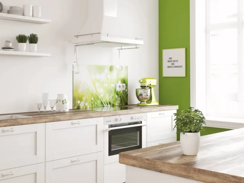 Sale Spritzschutz-Rückwand WandArt easy 80 cm x 58,5 cm Grass (D4002P BRIL) FSC®