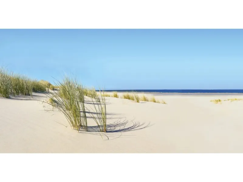 Herde|Küchenrückwände<Spritzschutz-Rückwand WandArt easy 120 x 58,5 cm Summer Dune (D1103P BRIL) FSC®