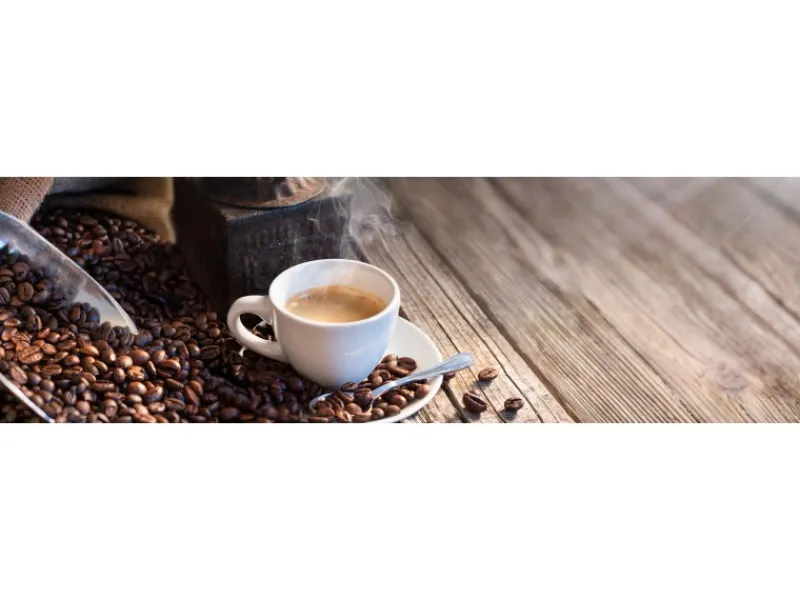 Online Spritzschutz-Rückwand WandArt easy 200 x 58,5 cm Coffee Beans (D3122P BRIL) FSC®