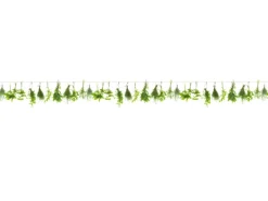 Spritzschutz-Rückwand WandArt easy 200 x 58,5 cm Herbs Line (D3106P BRIL) FSC®< Herde|Küchenrückwände