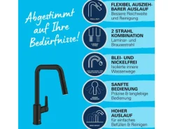Grohe Einhebelmischer<Start Einhand-Spültischbatterie, 1/2" mit Brause