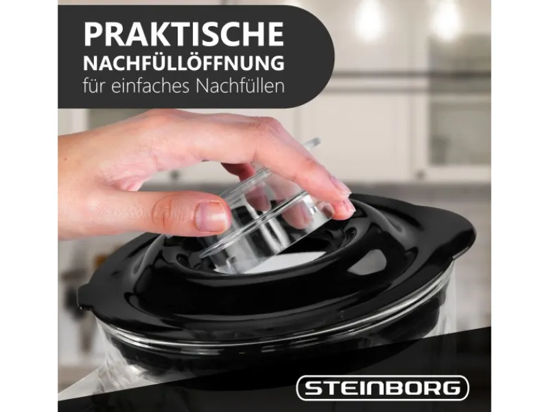 Outlet STEINBORG SB-7030 Standmixer mit To-Go Becher Glaskrug BPA-Frei 500 Watt
