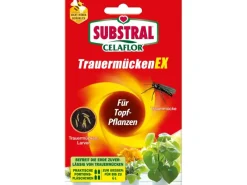 Substral Celaflor TrauermückenEx 4 x 7,5 ml< Töpfe