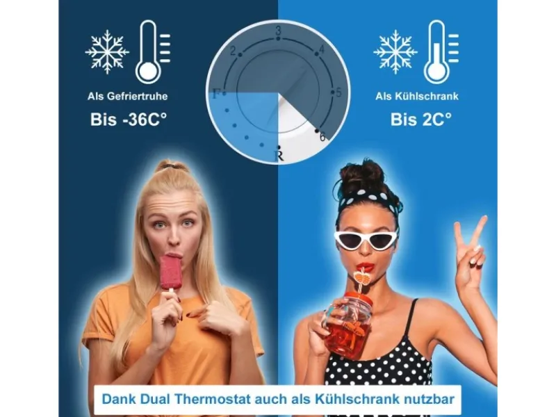 Tronitechnik Gefriertruhe Kühltruhe Borgar Pro Mit 2In1 Gefrier- Und Kühlfunktion | 160 Liter 184Kwh/Jahr Led Griff< Gefrierschränke