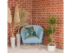 Value Greens Drachenbaum 3-Stamm  Dracaena Marginata  ca. 115 cm Hoch  Topf-Ø 21 cm< Töpfe