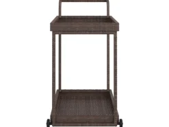 Outlet vidaXL Barwagen Braun 100x45x83 cm Poly Rattan