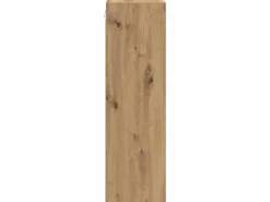 Hot vidaXL Hängeschrank mit Speicher Riga Artisan-Eiche 30 x 29,5 x 100 cm 884465 Artisan Eiche
