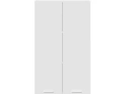 vidaXL Hängeschrank mit Tür Riga 60 x 31 x 100 cm Holzwerkstoff 884354< Küchenschränke