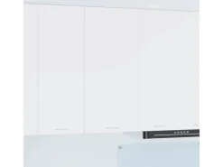 Küchenschränke<vidaXL Hängeschrank mit Tür Riga 50 x 31 x 100 cm Holzwerkstoff 884346