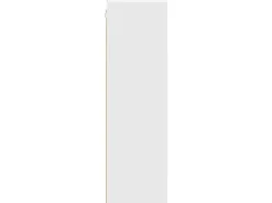 Küchenschränke<vidaXL Hängeschrank Riga 20 x 29,5 x 100 cm Holzwerkstoff 884450
