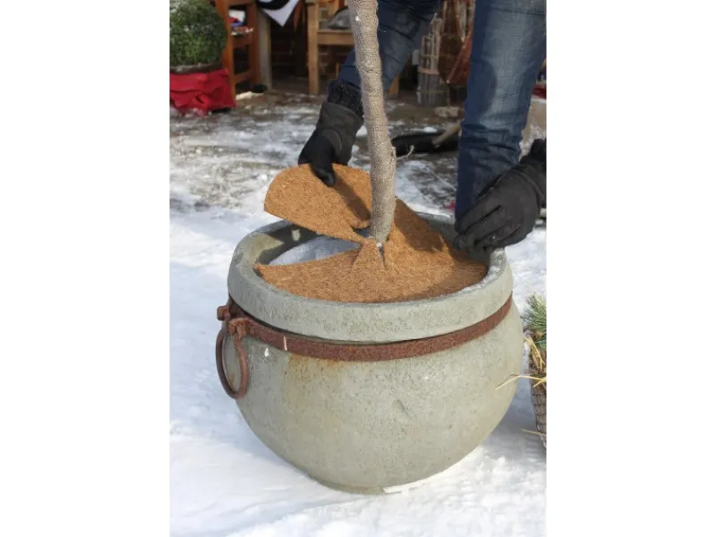 Videx Garden Töpfe<Kokos-Disc Natur Ø 37 cm