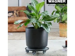 Wagner design yourself Töpfe<Wagner design Pflanzenroller GH 7017 Ø 38 cm x 8 cm Schwarz-Weiß