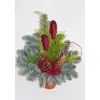 Discount Waldtopf Nobilis Topf ca. 12 cm Erika