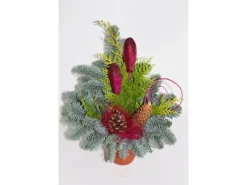 Discount Waldtopf Nobilis Topf ca. 12 cm Erika