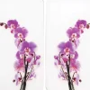 Wenko Herdabdeckplatte Universal Orchideenblüte 2er-Set für alle Herdarten