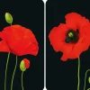 Clearance Wenko Herdabdeckplatten Universal Mohn 2er Set Mehrfarbig