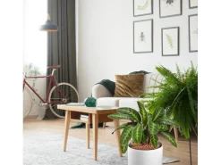 Westland Tongranulat 3 l< Töpfe
