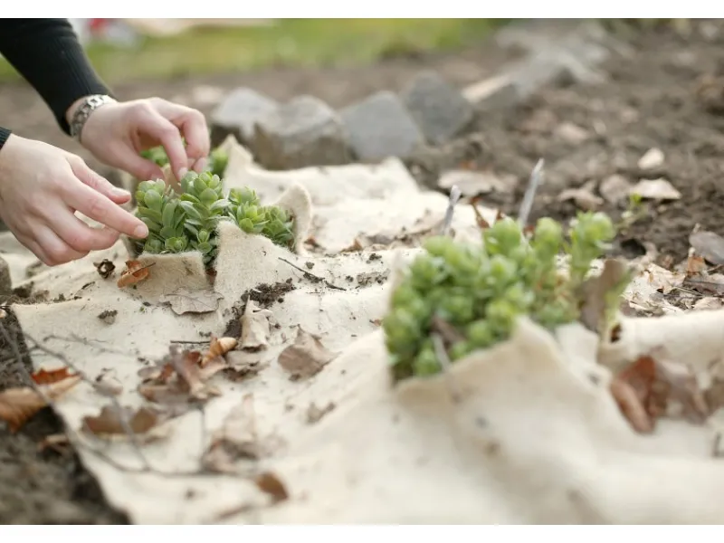 Videx Winterschutzmatte Jute-Filz Natur 50 cm x 150 cm< Töpfe