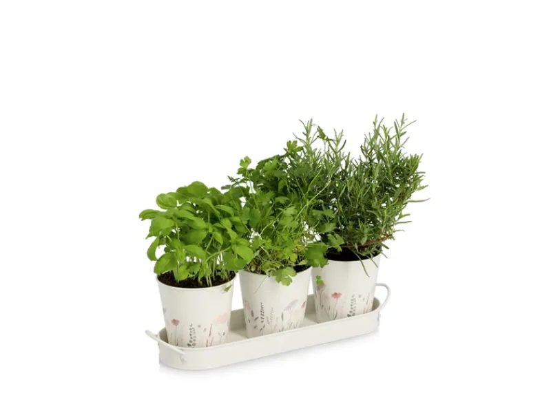 Zeller Kräutertopf-Set Flowers Metall 4-teilig Weiß< Töpfe
